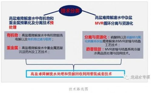 高鹽難降解廢水趨零排放技術實現重大突破與規?；瘧? />
</span>
<span id=