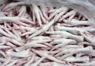 牲畜批發零售市場全解析 價格、廠家與全球采購趨勢